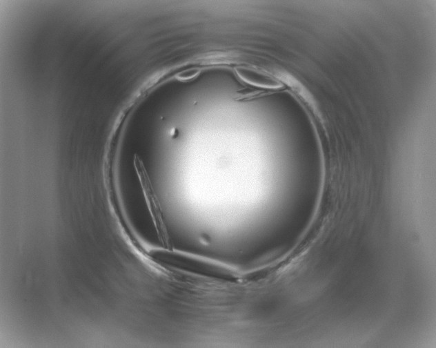 X0000071811429200607072106