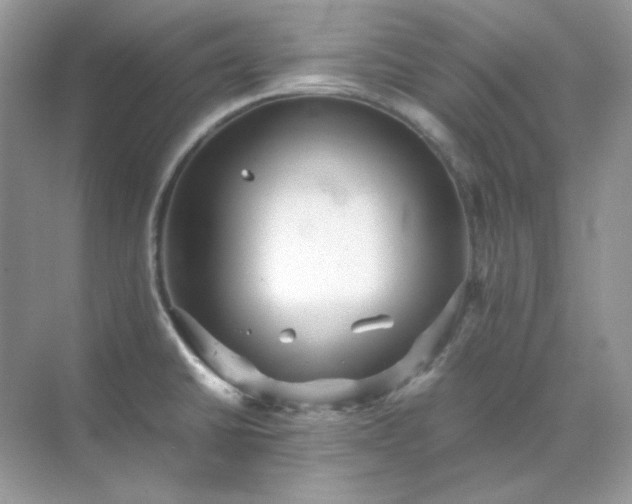 X0000071811430200607072106