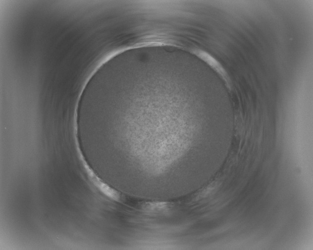 X0000071811431200607072106