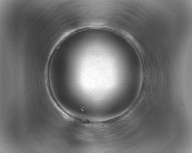 X0000071811432200607072106