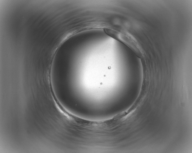 X0000071811433200607072106