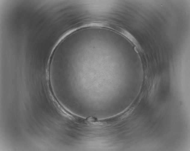 X0000071811436200607072106