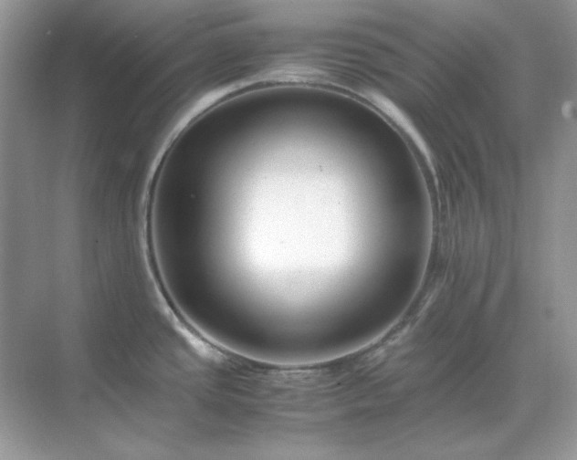 X0000071811437200607072106