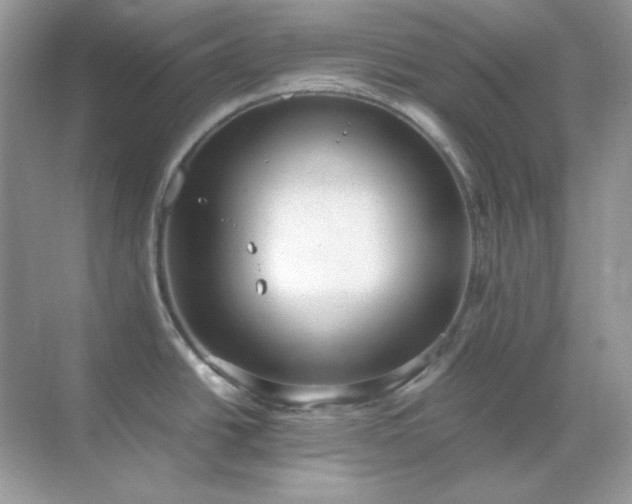 X0000071811438200607072106