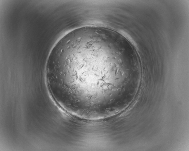 X0000071811440200607072106