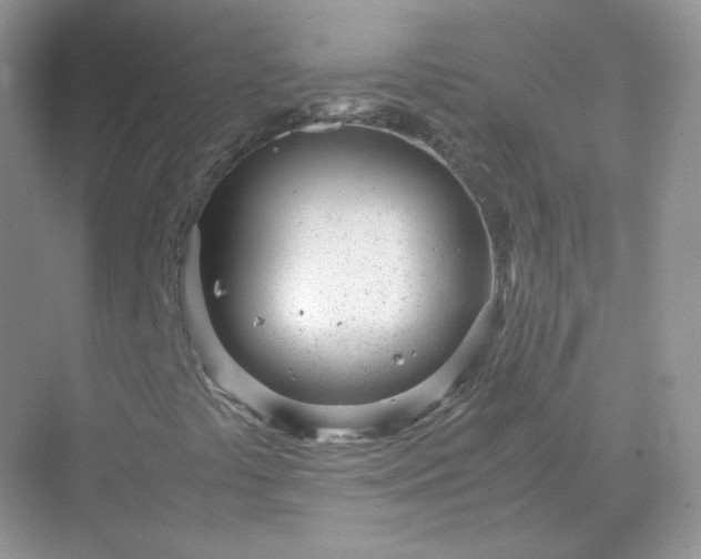 X0000071811441200607072105