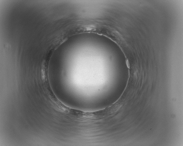 X0000071811442200607072105