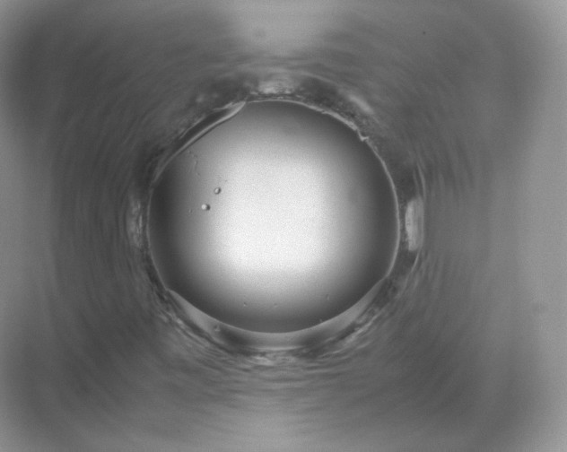 X0000071811443200607072105