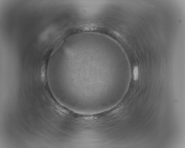 X0000071811444200607072105