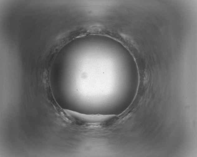 X0000071811445200607072105