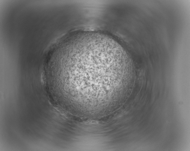 X0000071811446200607072105