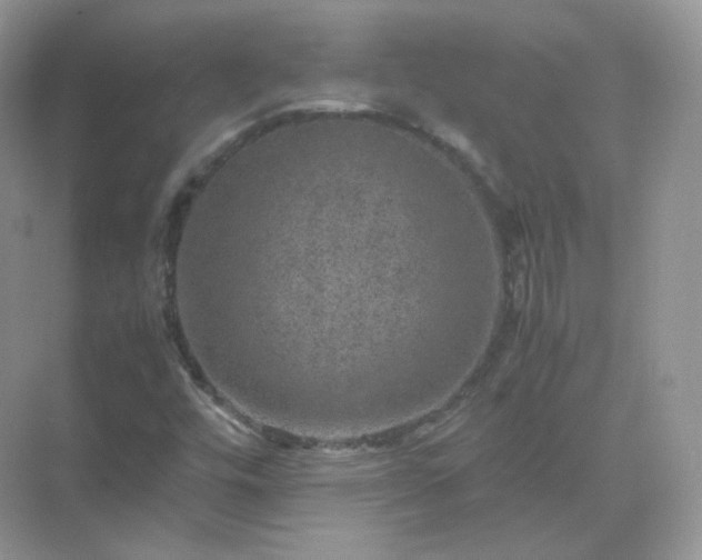 X0000071811448200607072105