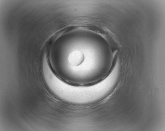 X0000071811449200607072105