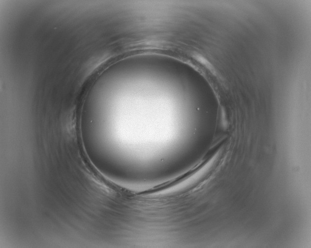 X0000071811450200607072105