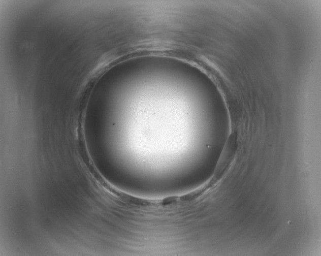 X0000071811451200607072105