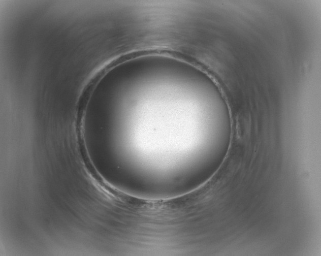 X0000071811452200607072105