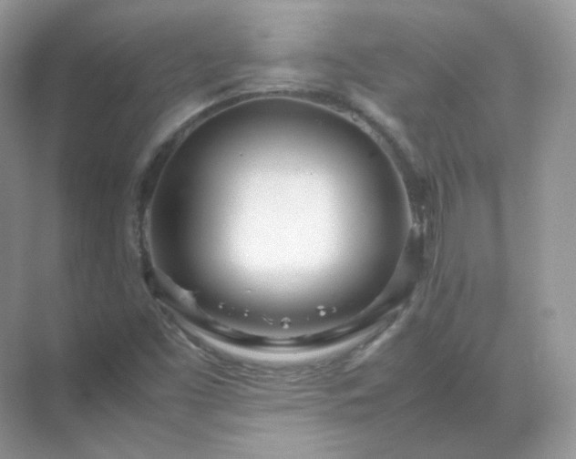 X0000071811453200607072105