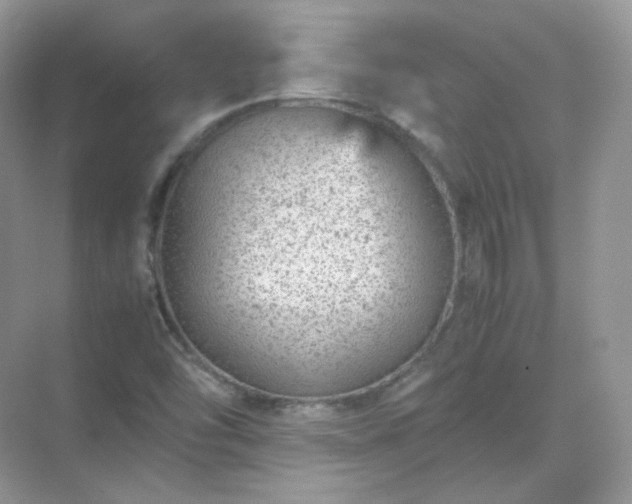 X0000071811454200607072105