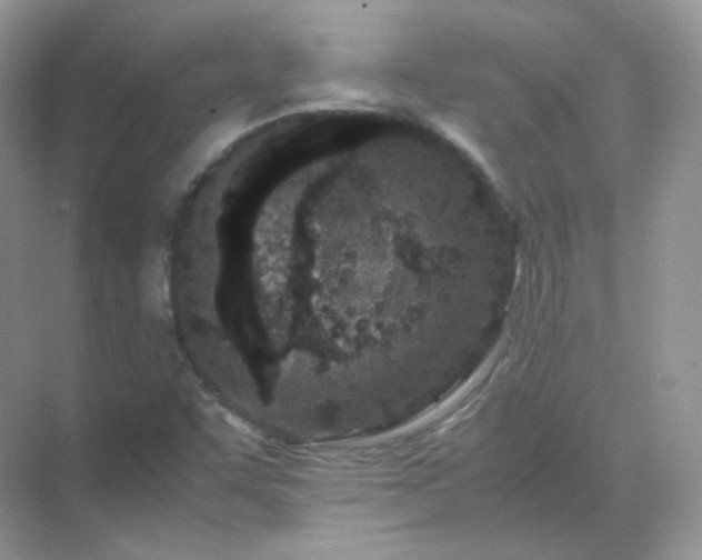 X0000071811455200607072105