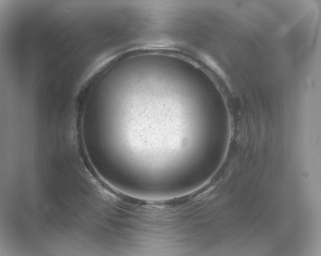 X0000071811456200607072105