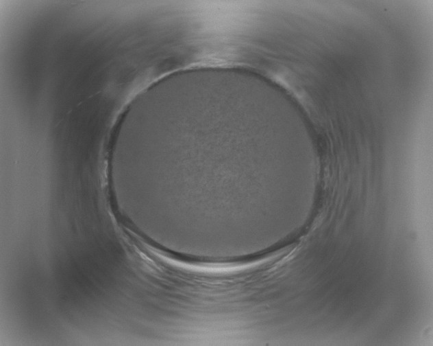 X0000071811459200607072105