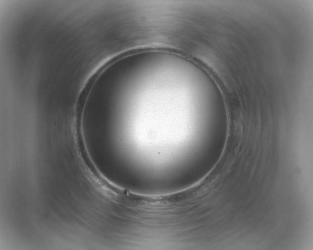 X0000071811460200607072105