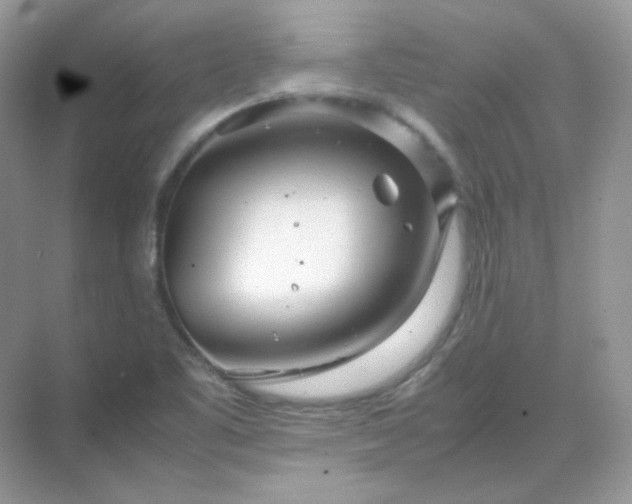 X0000071811461200607072105