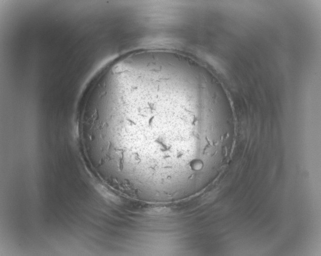 X0000071811462200607072105