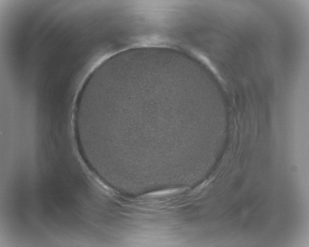 X0000071811463200607072105