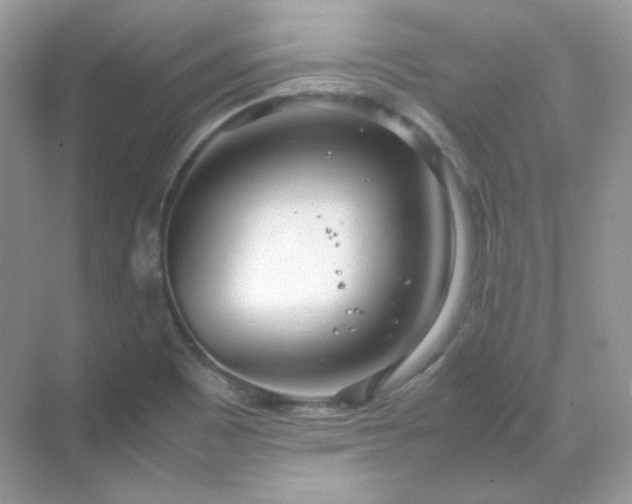 X0000071811465200607072105