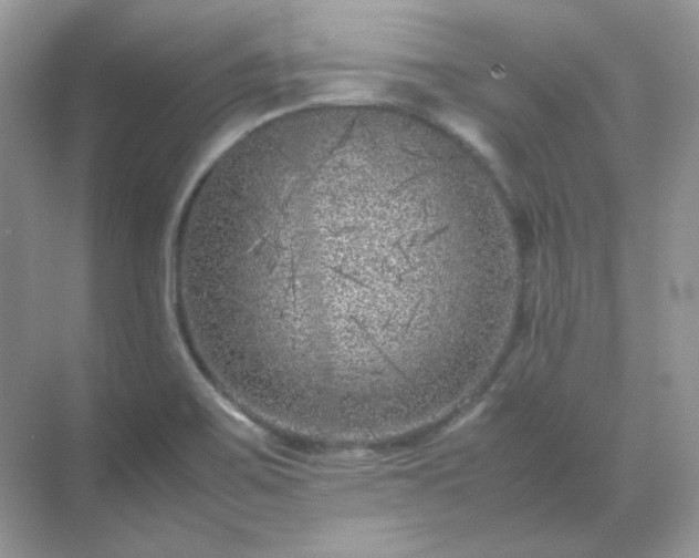 X0000071811467200607072105