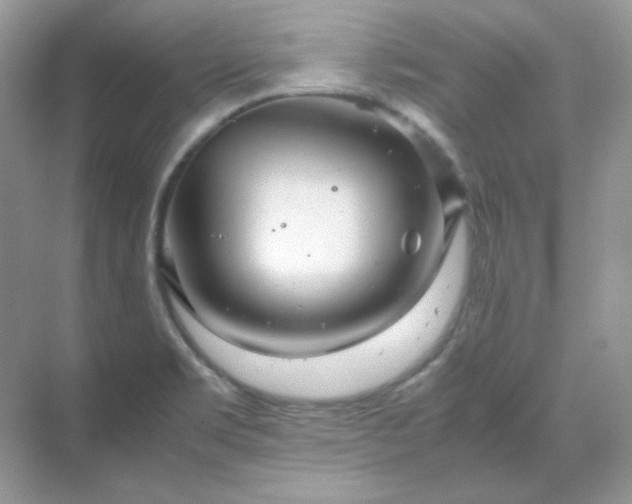 X0000071811469200607072105