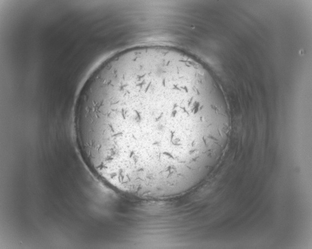 X0000071811470200607072105