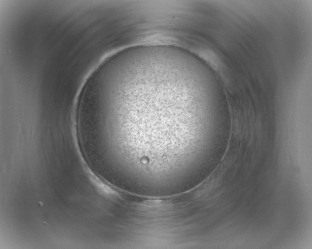 X0000071811478200607072104