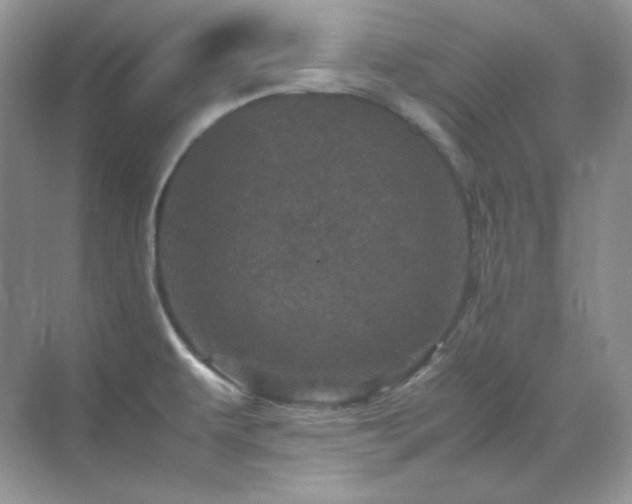 X0000071811479200607072104