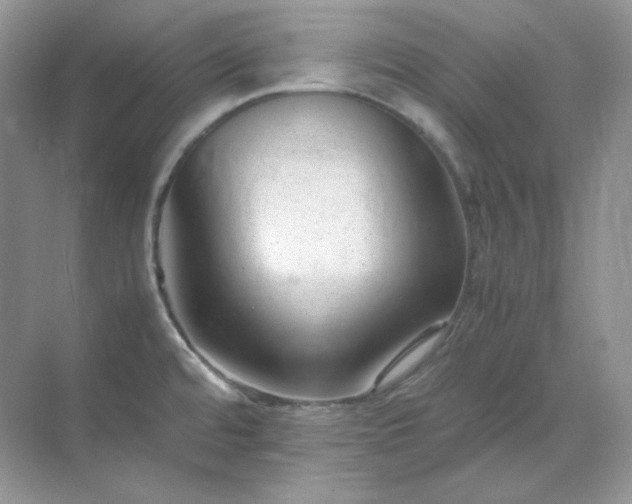 X0000071811480200607072104