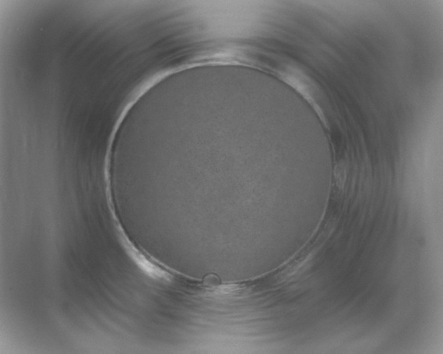 X0000071811482200607072104