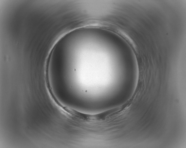 X0000071811483200607072104