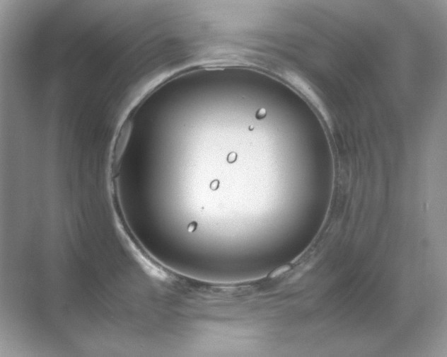 X0000071811485200607072104