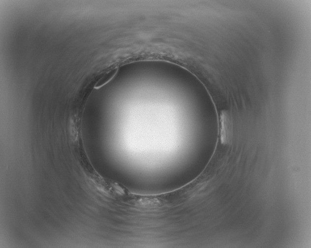 X0000071811491200607072103