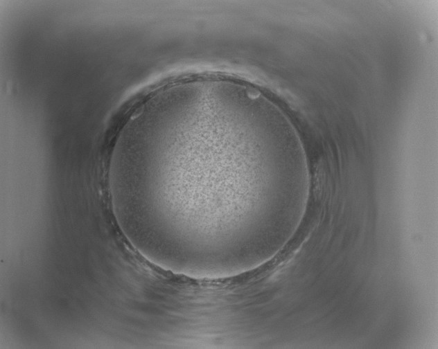 X0000071811494200607072104