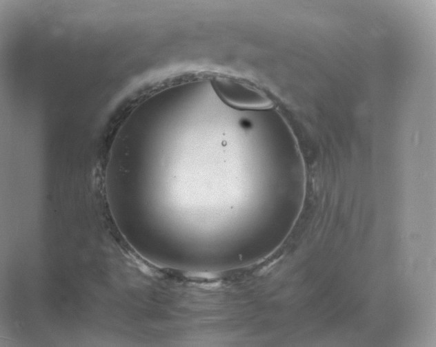 X0000071811495200607072104