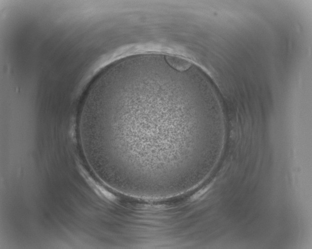 X0000071811499200607072104