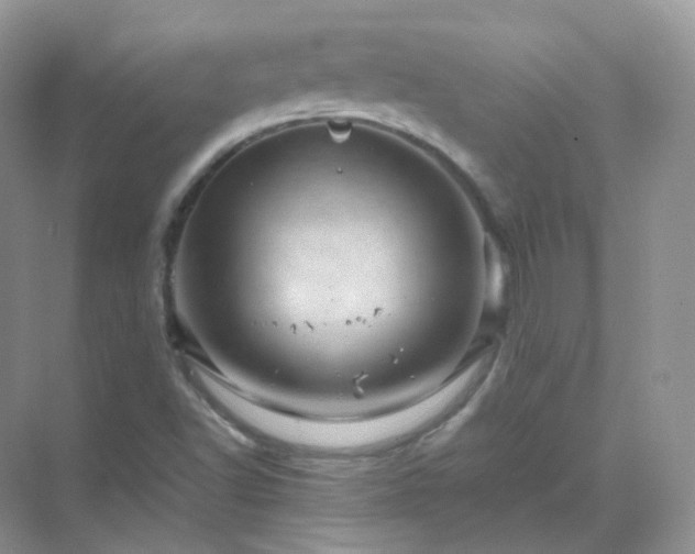 X0000071811502200607072104