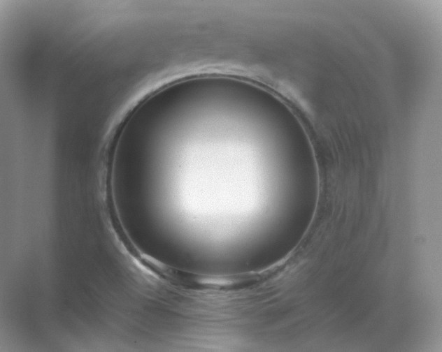 X0000071811504200607072104