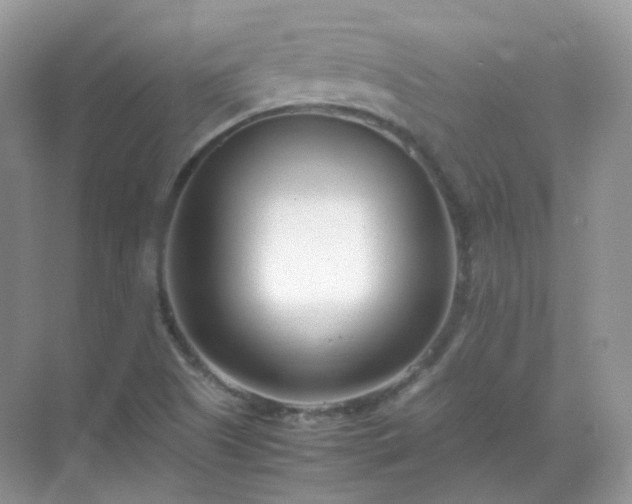 X0000071811505200607072104