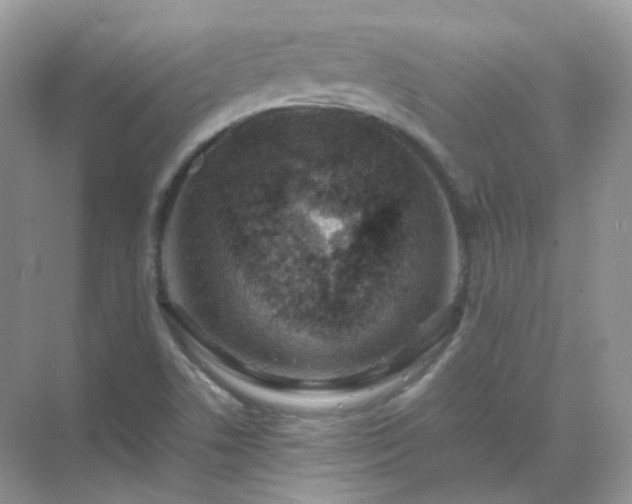 X0000071811506200607072104