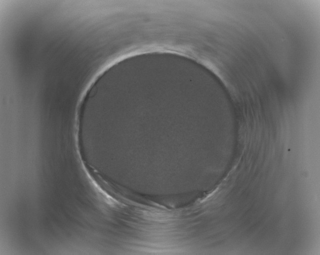 X0000071811508200607072104