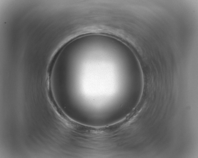 X0000071811509200607072104