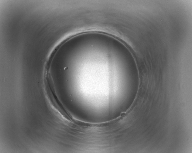 X0000071811510200607072104